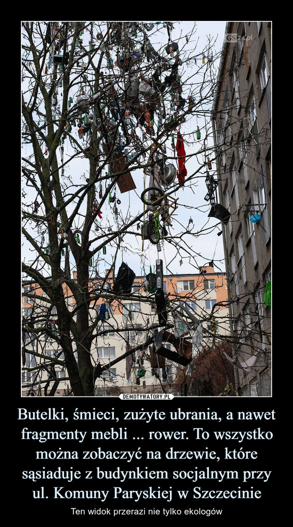 Butelki, śmieci, zużyte ubrania, a nawet fragmenty mebli ... rower. To wszystko można zobaczyć na drzewie, które sąsiaduje z budynkiem socjalnym przy ul. Komuny Paryskiej w Szczecinie – Ten widok przerazi nie tylko ekologów 