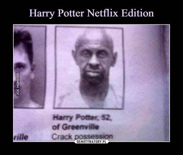 Harry Potter Netflix Edition
