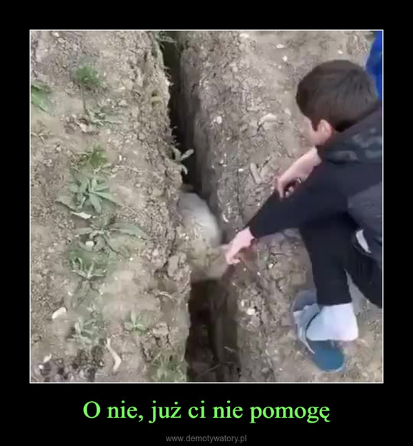 O nie, już ci nie pomogę –  