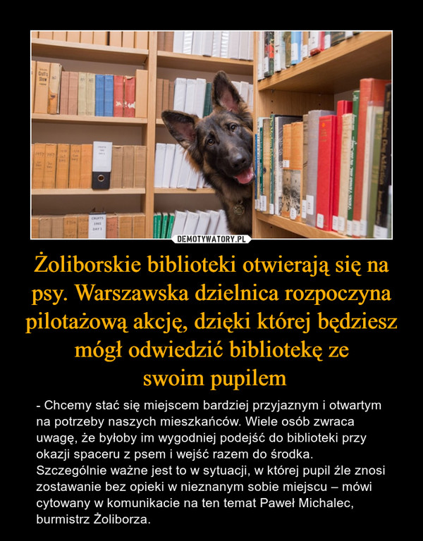 Żoliborskie biblioteki otwierają się na psy. Warszawska dzielnica rozpoczyna pilotażową akcję, dzięki której będziesz mógł odwiedzić bibliotekę ze swoim pupilem – - Chcemy stać się miejscem bardziej przyjaznym i otwartym na potrzeby naszych mieszkańców. Wiele osób zwraca uwagę, że byłoby im wygodniej podejść do biblioteki przy okazji spaceru z psem i wejść razem do środka. Szczególnie ważne jest to w sytuacji, w której pupil źle znosi zostawanie bez opieki w nieznanym sobie miejscu – mówi cytowany w komunikacie na ten temat Paweł Michalec, burmistrz Żoliborza. 