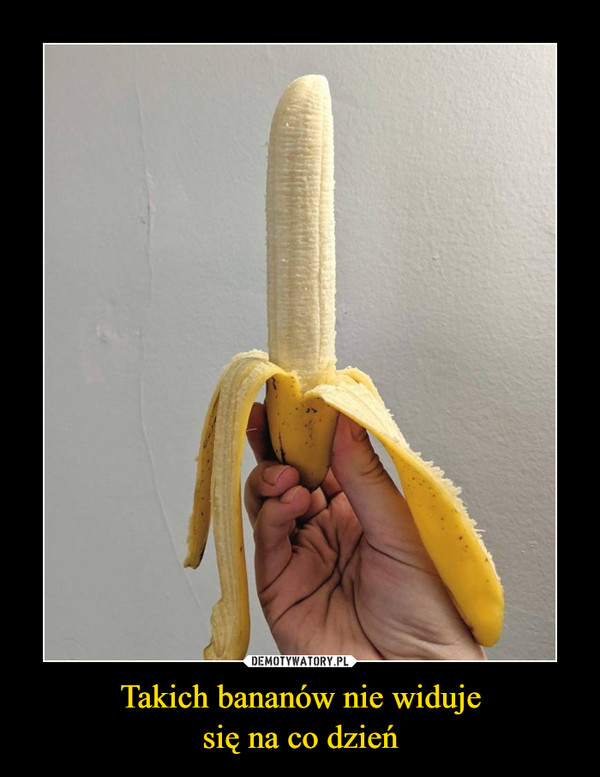 Takich bananów nie widujesię na co dzień –  