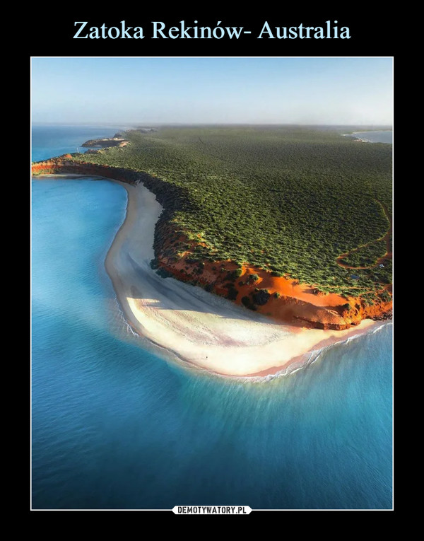 Zatoka Rekinów- Australia