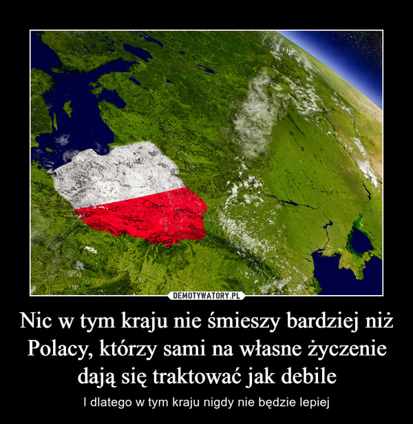 Nic w tym kraju nie śmieszy bardziej niż Polacy, którzy sami na własne życzenie dają się traktować jak debile – I dlatego w tym kraju nigdy nie będzie lepiej 