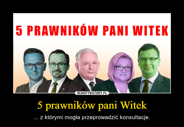 5 prawników pani Witek