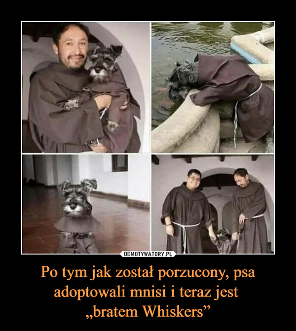 Po tym jak został porzucony, psa adoptowali mnisi i teraz jest 
„bratem Whiskers”