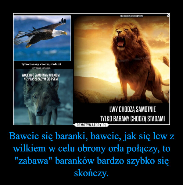 Bawcie się baranki, bawcie, jak się lew z wilkiem w celu obrony orła połączy, to "zabawa" baranków bardzo szybko się skończy. –  