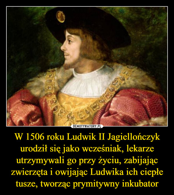 W 1506 roku Ludwik II Jagiellończyk urodził się jako wcześniak, lekarze utrzymywali go przy życiu, zabijając zwierzęta i owijając Ludwika ich ciepłe tusze, tworząc prymitywny inkubator –  