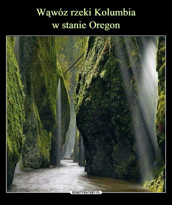 Wąwóz rzeki Kolumbia
w stanie Oregon