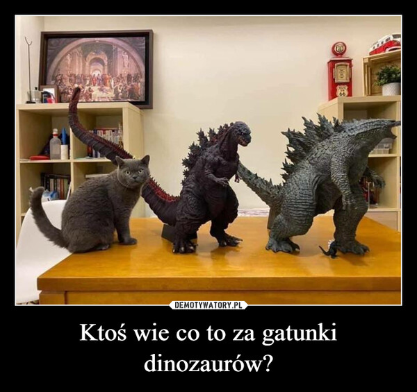 Ktoś wie co to za gatunki dinozaurów?