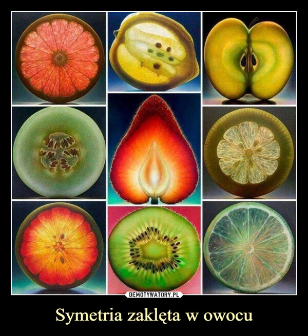 Symetria zaklęta w owocu