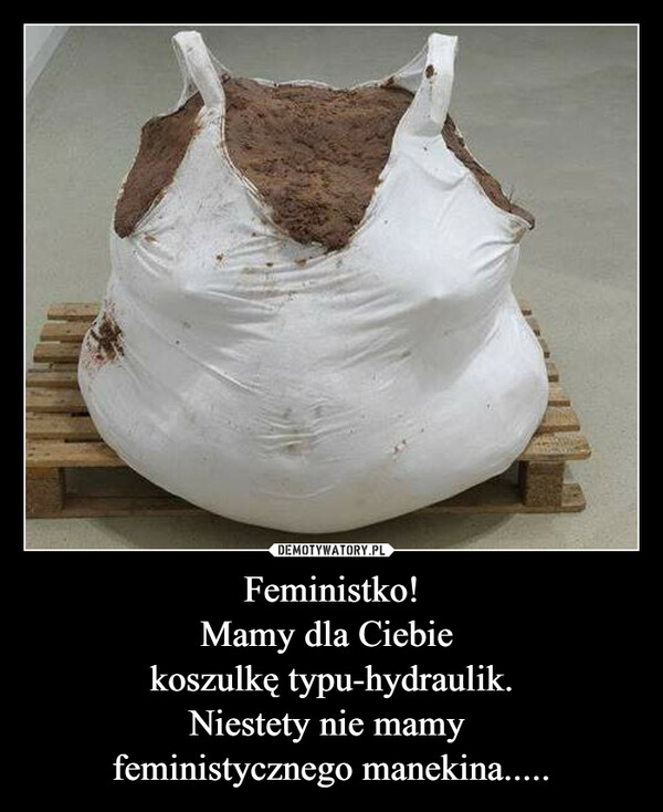 Feministko!Mamy dla Ciebie koszulkę typu-hydraulik.Niestety nie mamy feministycznego manekina..... –  