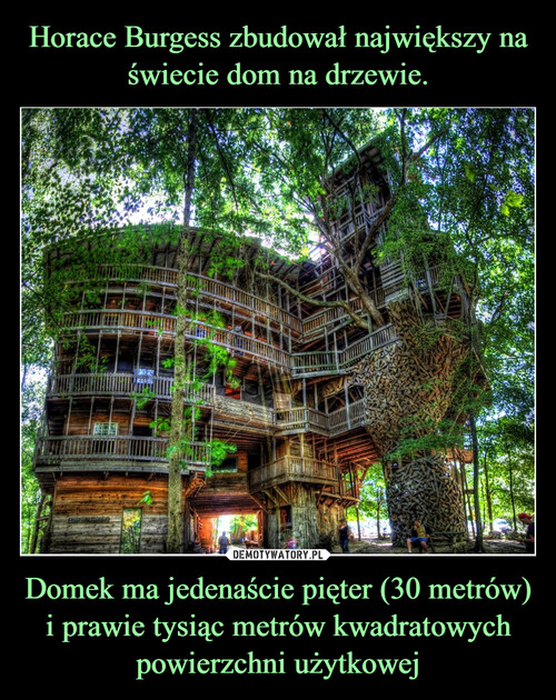 Horace Burgess zbudował największy na świecie dom na drzewie. Domek ma jedenaście pięter (30 metrów) i prawie tysiąc metrów kwadratowych powierzchni użytkowej