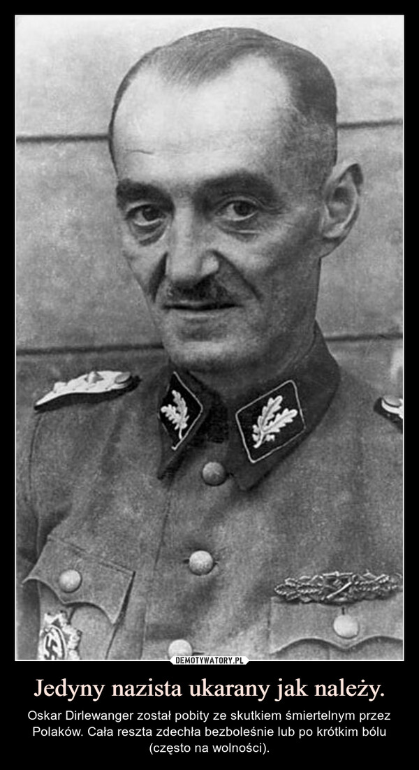 Jedyny nazista ukarany jak należy. – Oskar Dirlewanger został pobity ze skutkiem śmiertelnym przez Polaków. Cała reszta zdechła bezboleśnie lub po krótkim bólu (często na wolności). 