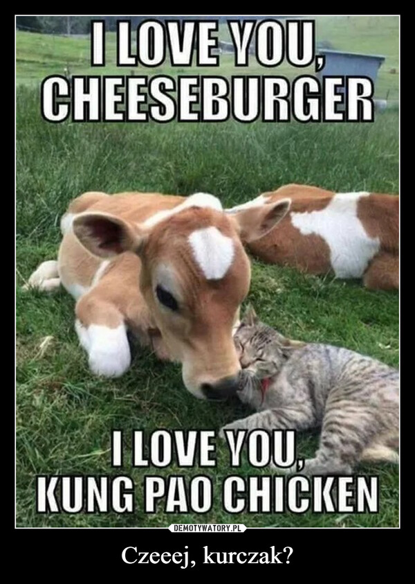 Czeeej, kurczak? –  i love you cheeseburger