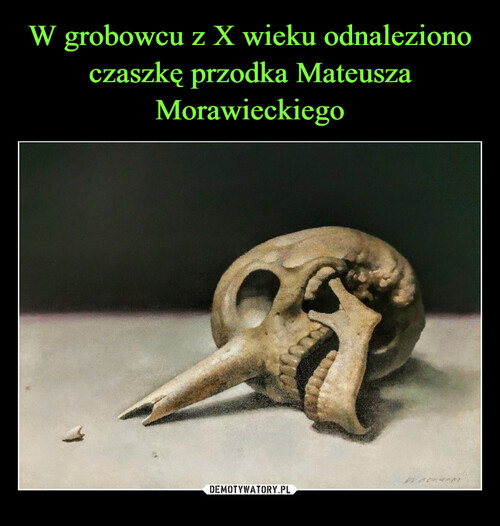 W grobowcu z X wieku odnaleziono czaszkę przodka Mateusza Morawieckiego