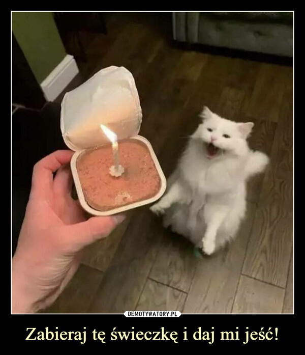 Zabieraj tę świeczkę i daj mi jeść! –  