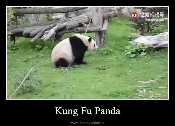 Kung Fu Panda –  