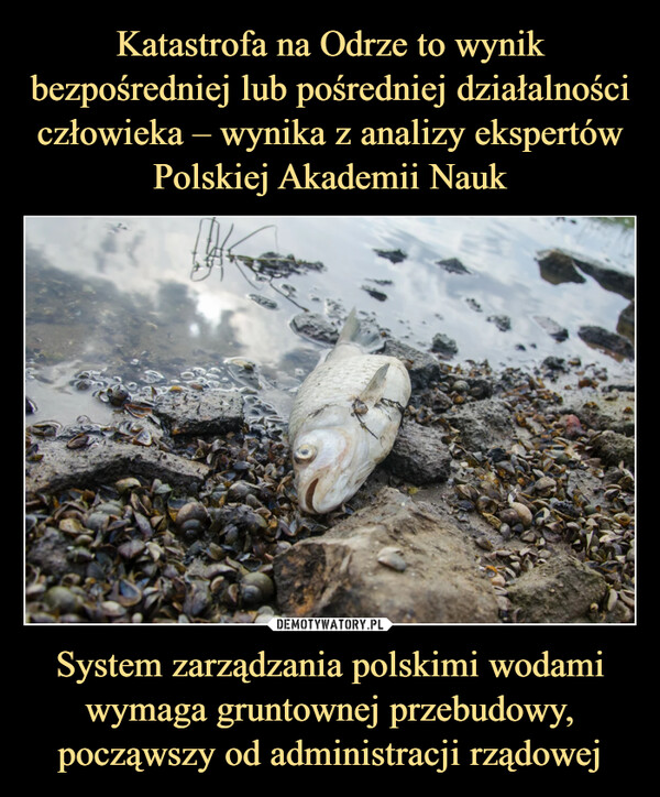System zarządzania polskimi wodami wymaga gruntownej przebudowy, począwszy od administracji rządowej –  