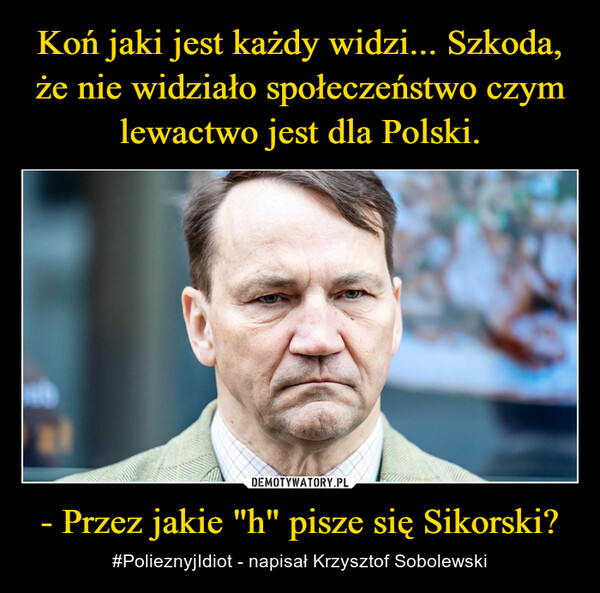 - Przez jakie "h" pisze się Sikorski? – #PolieznyjIdiot - napisał Krzysztof Sobolewski 