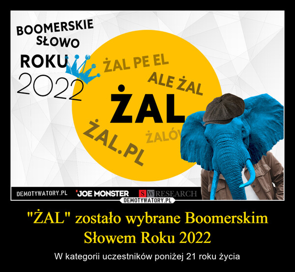 "ŻAL" zostało wybrane Boomerskim Słowem Roku 2022 – W kategorii uczestników poniżej 21 roku życia 