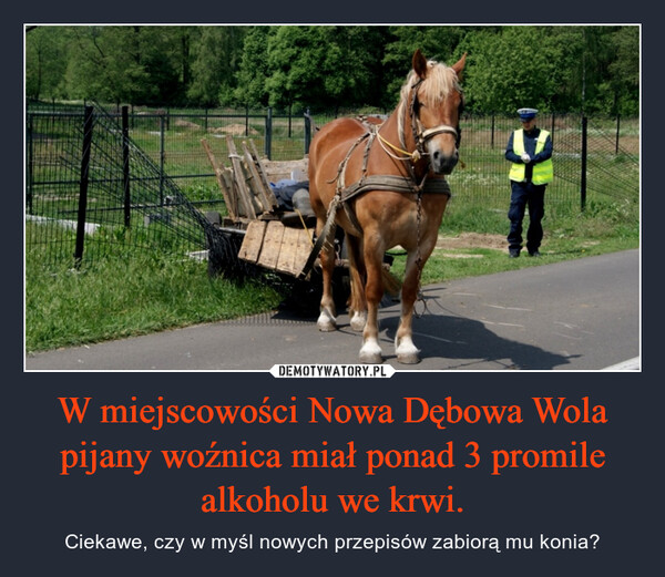 W miejscowości Nowa Dębowa Wola pijany woźnica miał ponad 3 promile alkoholu we krwi. – Ciekawe, czy w myśl nowych przepisów zabiorą mu konia? 