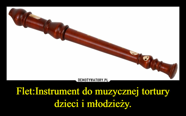 Flet:Instrument do muzycznej tortury dzieci i młodzieży. –  