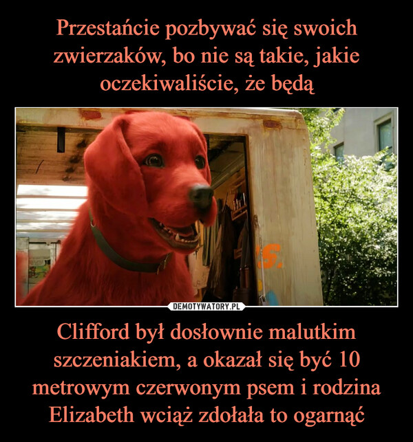 Clifford był dosłownie malutkim szczeniakiem, a okazał się być 10 metrowym czerwonym psem i rodzina Elizabeth wciąż zdołała to ogarnąć –  