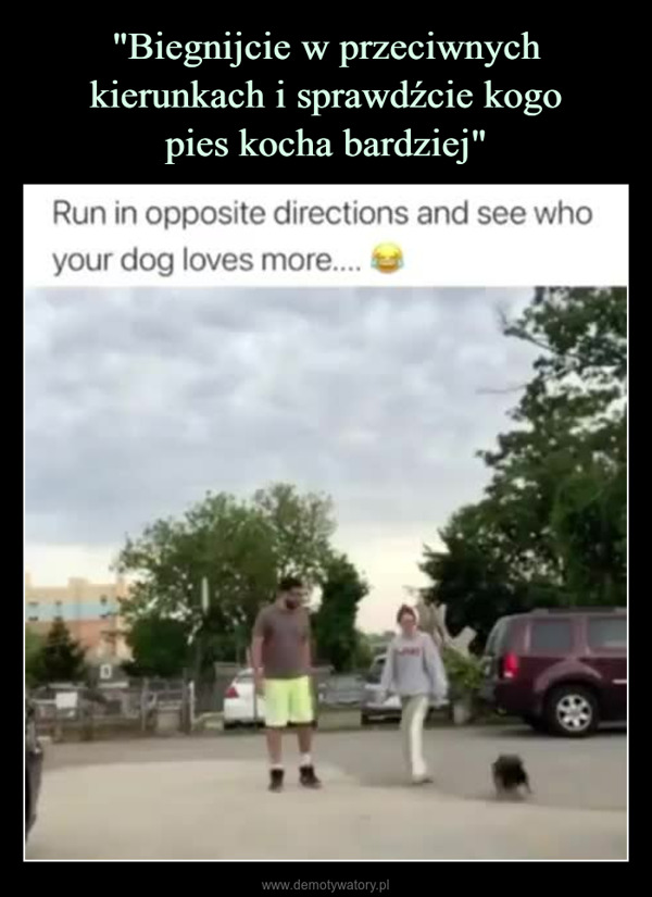  –  Run in opposite directions and see whoyour dog loves more.....