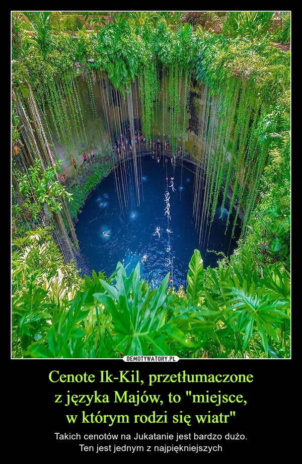 Cenote Ik-Kil, przetłumaczonez języka Majów, to "miejsce,w którym rodzi się wiatr" – Takich cenotów na Jukatanie jest bardzo dużo.Ten jest jednym z najpiękniejszych Tipy