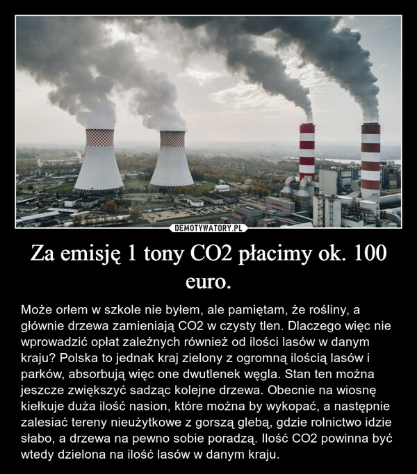 Za emisję 1 tony CO2 płacimy ok. 100 euro. – Może orłem w szkole nie byłem, ale pamiętam, że rośliny, a głównie drzewa zamieniają CO2 w czysty tlen. Dlaczego więc nie wprowadzić opłat zależnych również od ilości lasów w danym kraju? Polska to jednak kraj zielony z ogromną ilością lasów i parków, absorbują więc one dwutlenek węgla. Stan ten można jeszcze zwiększyć sadząc kolejne drzewa. Obecnie na wiosnę kiełkuje duża ilość nasion, które można by wykopać, a następnie zalesiać tereny nieużytkowe z gorszą glebą, gdzie rolnictwo idzie słabo, a drzewa na pewno sobie poradzą. Ilość CO2 powinna być wtedy dzielona na ilość lasów w danym kraju. STEFFET1000