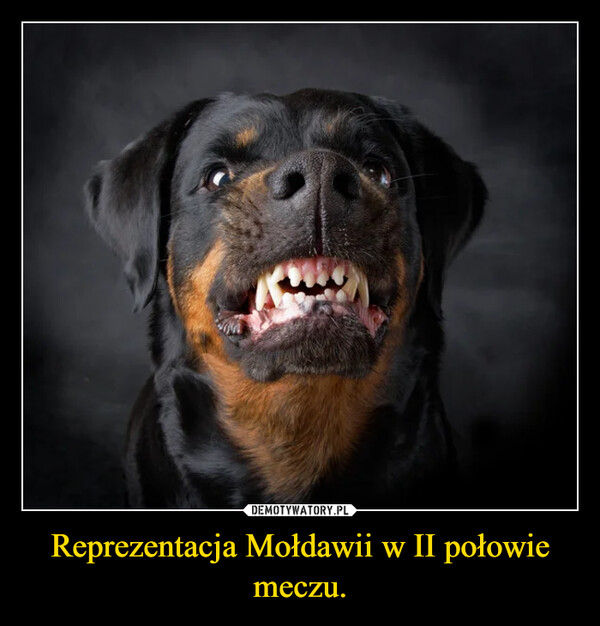 Reprezentacja Mołdawii w II połowie meczu. –  