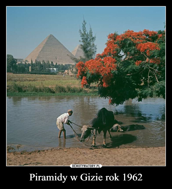 Piramidy w Gizie rok 1962