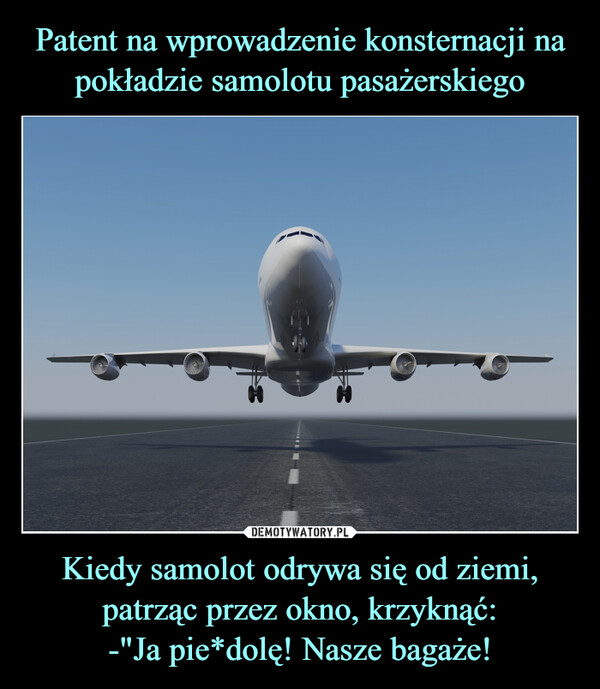 Kiedy samolot odrywa się od ziemi, patrząc przez okno, krzyknąć:-"Ja pie*dolę! Nasze bagaże! –  