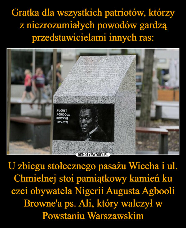 U zbiegu stołecznego pasażu Wiecha i ul. Chmielnej stoi pamiątkowy kamień ku czci obywatela Nigerii Augusta Agbooli Browne'a ps. Ali, który walczył w Powstaniu Warszawskim –  AUGUSTAGBOOLABROWNE1895-1976
