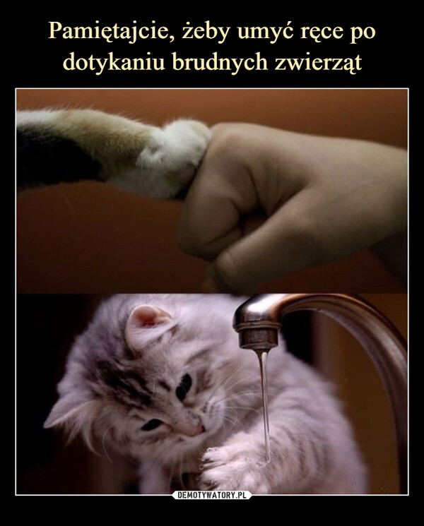 Pamiętajcie, żeby umyć ręce po dotykaniu brudnych zwierząt