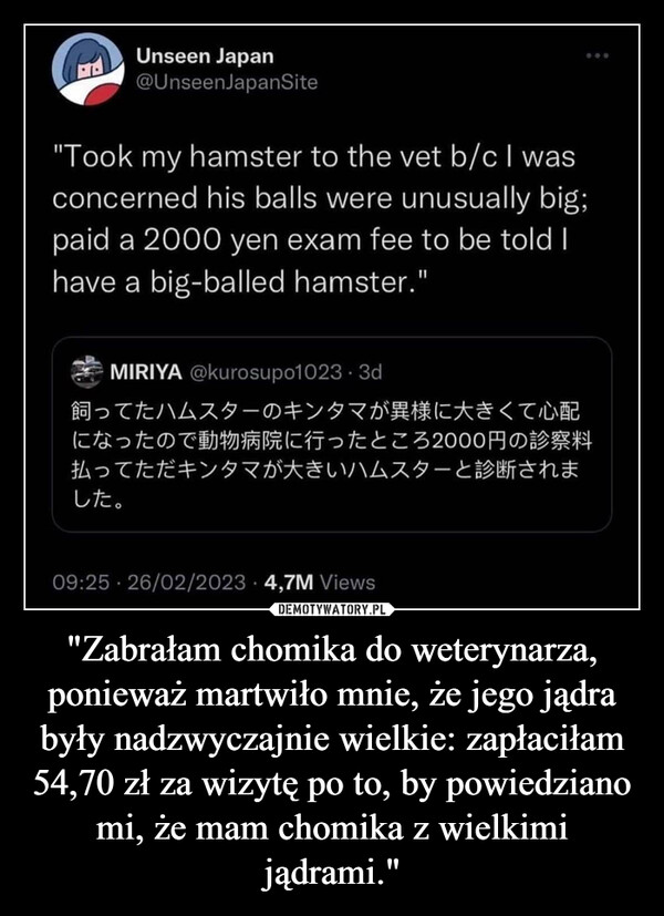 "Zabrałam chomika do weterynarza, ponieważ martwiło mnie, że jego jądra były nadzwyczajnie wielkie: zapłaciłam 54,70 zł za wizytę po to, by powiedziano mi, że mam chomika z wielkimi jądrami." –  Unseen Japan@Unseen JapanSite"Took my hamster to the vet b/cl wasconcerned his balls were unusually big;paid a 2000 yen exam fee to be told Ihave a big-balled hamster."MIRIYA @kurosupo1023・3d飼ってたハムスターのキンタマが異様に大きくて心配になったので動物病院に行ったところ2000円の診察料払ってただキンタマが大きいハムスターと診断されました。09:25 26/02/20234,7M Views