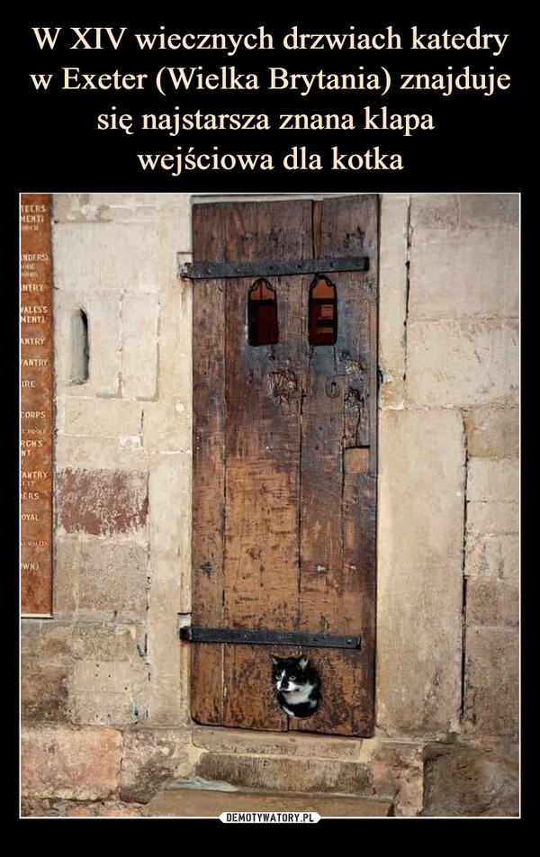 W XIV wiecznych drzwiach katedry w Exeter (Wielka Brytania) znajduje się najstarsza znana klapa 
wejściowa dla kotka