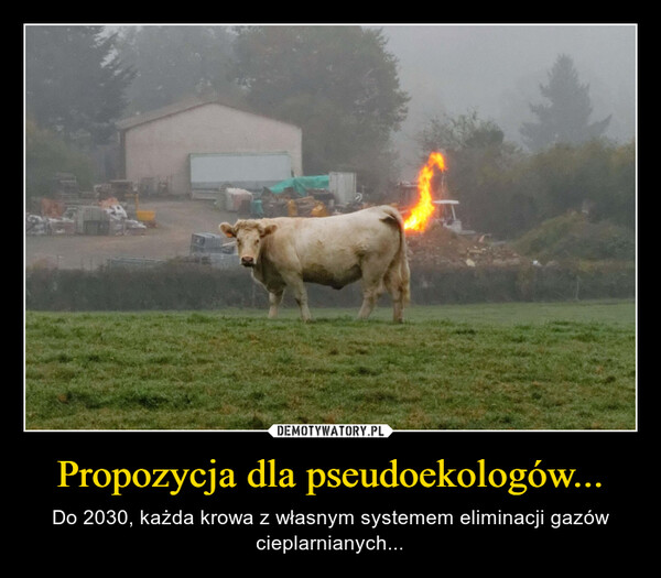 Propozycja dla pseudoekologów... – Do 2030, każda krowa z własnym systemem eliminacji gazów cieplarnianych... 