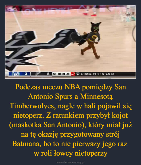 Podczas meczu NBA pomiędzy San Antonio Spurs a Minnesotą Timberwolves, nagle w hali pojawił się nietoperz. Z ratunkiem przybył kojot (maskotka San Antonio), który miał już na tę okazję przygotowany strój Batmana, bo to nie pierwszy jego raz w roli łowcy nietoperzy –  P345 1ST 10:59:16C. THOMAS:37 PTS. 11-19 FG, 12-15 FT