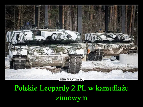 Polskie Leopardy 2 PL w kamuflażu zimowym