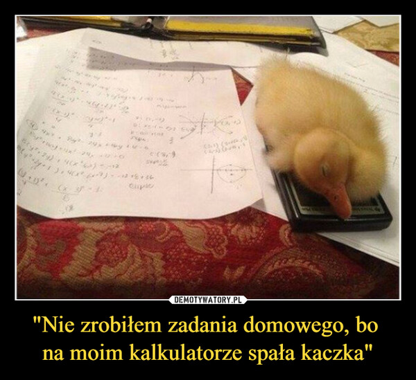 "Nie zrobiłem zadania domowego, bo 
na moim kalkulatorze spała kaczka"