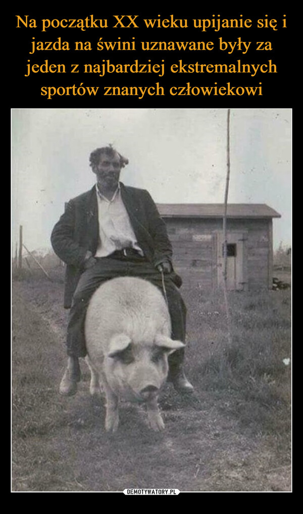 Na początku XX wieku upijanie się i jazda na świni uznawane były za jeden z najbardziej ekstremalnych sportów znanych człowiekowi