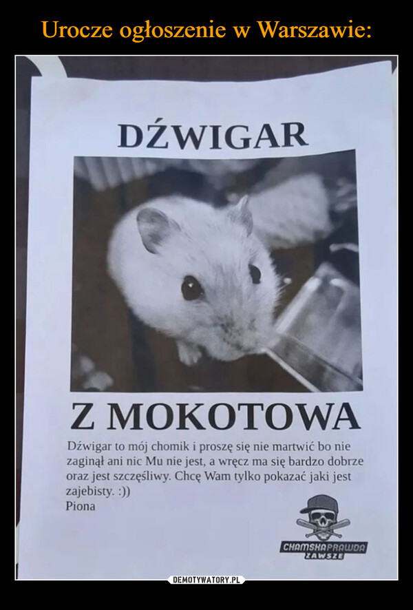 Urocze ogłoszenie w Warszawie: