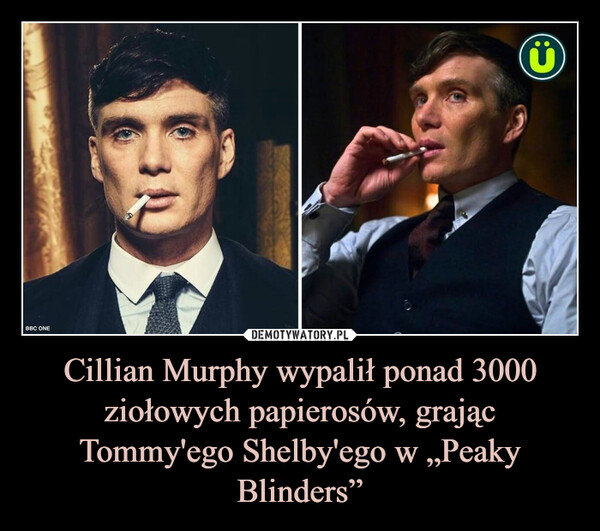Cillian Murphy wypalił ponad 3000 ziołowych papierosów, grając Tommy'ego Shelby'ego w „Peaky Blinders”