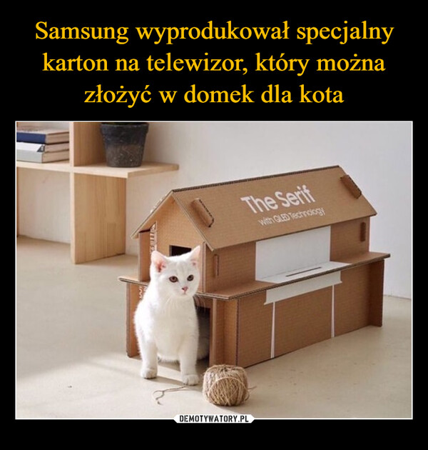 Samsung wyprodukował specjalny karton na telewizor, który można złożyć w domek dla kota