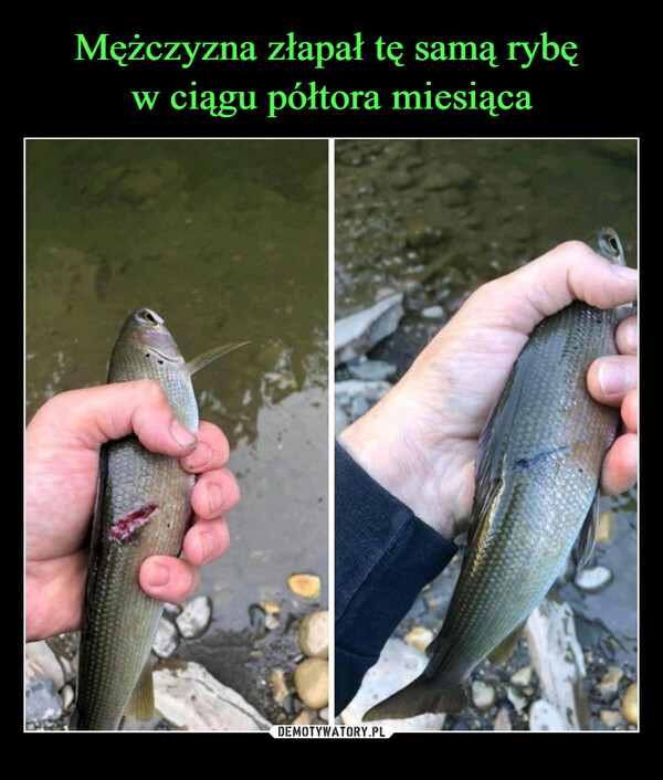  –  