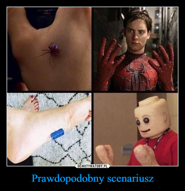 Prawdopodobny scenariusz –  800MOORTH