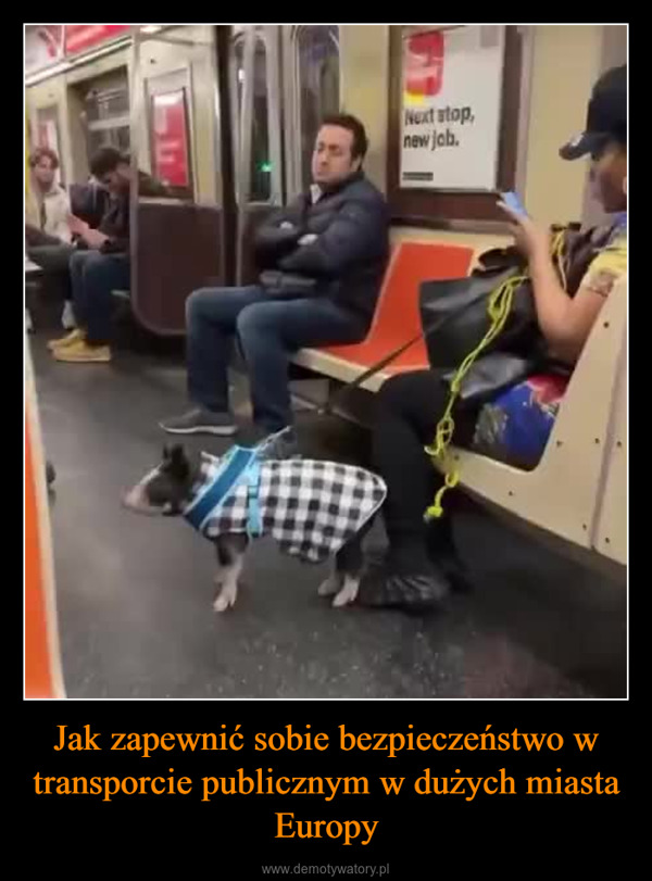 Jak zapewnić sobie bezpieczeństwo w transporcie publicznym w dużych miasta Europy –  Next stop,new job.