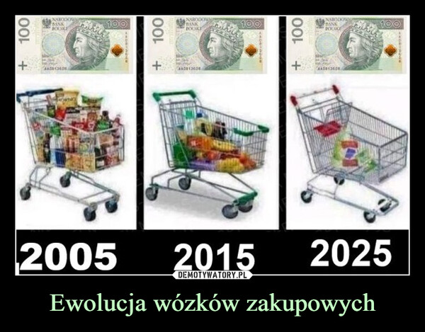 Ewolucja wózków zakupowych –  100+NARODOWBINKBOLSKE1002005100+NARODOWYBANKPOLSKEADR13608100100+NARODOWBANKPOLSKE1002015 2025