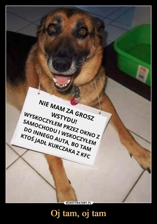 Oj tam, oj tam –  NIE MAM ZA GROSZWSTYDU!WYSKOCZYŁEM PRZEZ OKNO ZSAMOCHODU I WSKOCZYŁEMDO INNEGO AUTA, BO TAMKTOŚ JADŁ KURCZAKA Z KFC